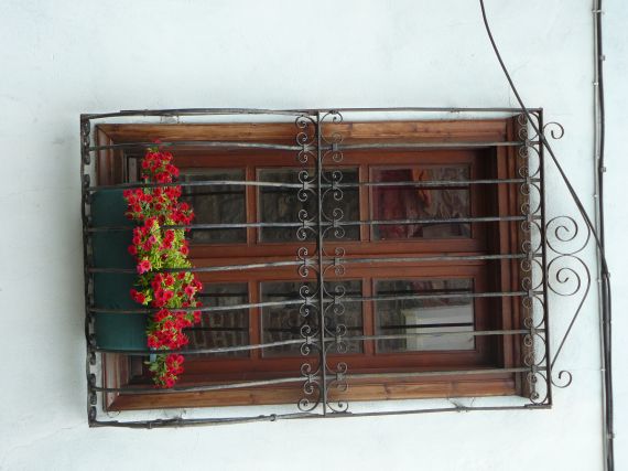 Window with grills