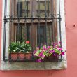 Window