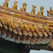 Roof tiles, forbidden city