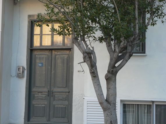 Wooden door