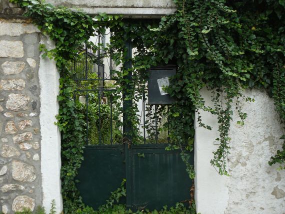 Iron yard door
